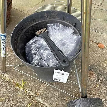 Kragenaeshus *