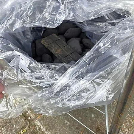 Kragenaeshus * ماريبو