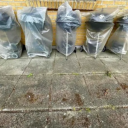 Kragenaeshus ماريبو